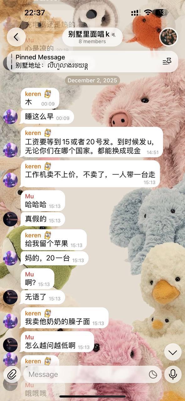 #曝光 #讨薪 #亚博 #天博 #摩根 #柬埔寨 #西港(2)