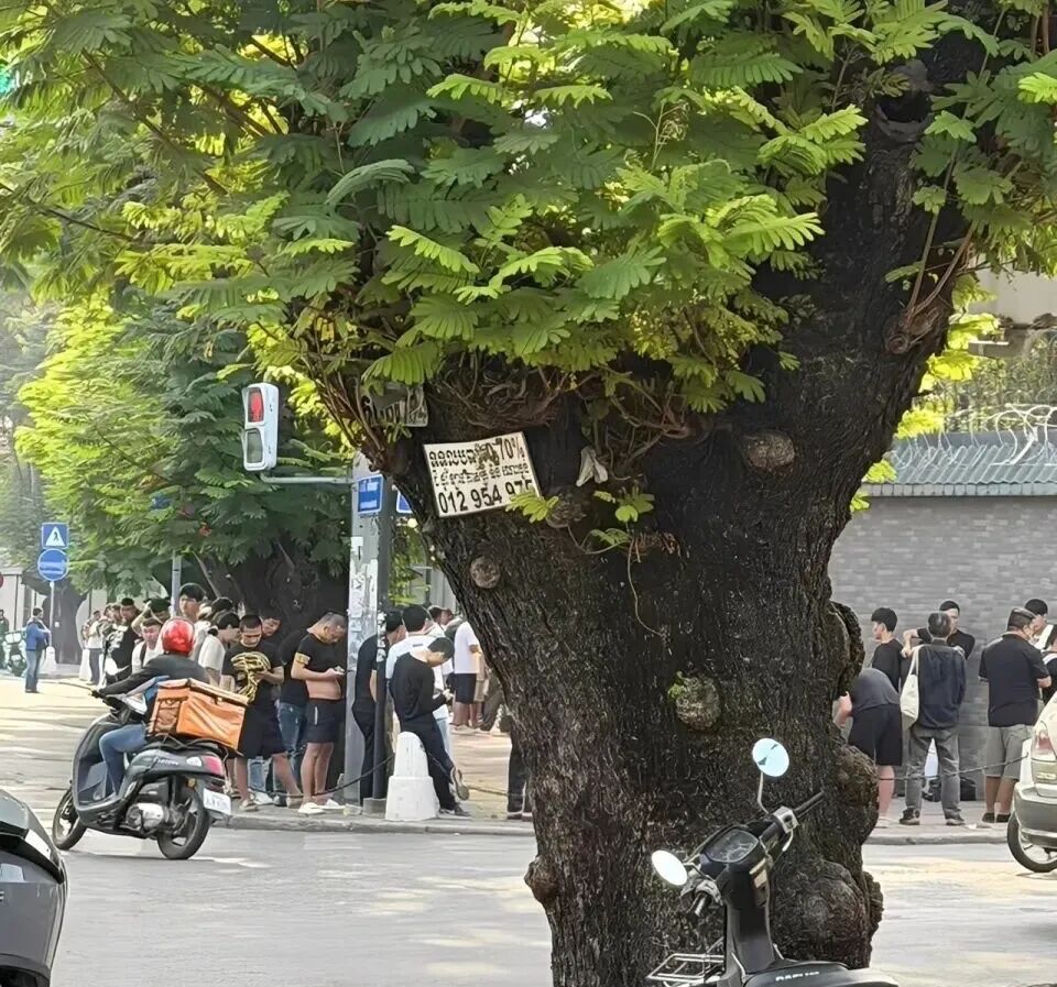 柬埔寨电诈死灰复燃?(1) 柬埔寨电诈死灰复燃?(1)