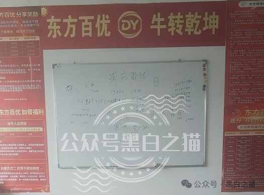 起底“东方百优”幕后总指挥莎某|混迹盘圈5年,从DMM到时尚生活,她转移了多少团队?(4) 起底“东方百优”幕后总指挥莎某|混迹盘圈5年,从DMM到时尚生活,她转移了多少团队?(4)