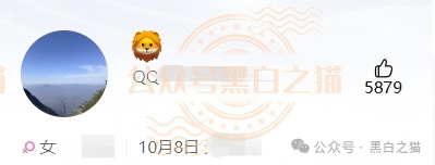 “胜虎”的六位数QQ、“张耀东”的特种兵人设——金河资本狗推团伙大起底！凌晨3点境外邮箱投诉？小编素材库里还躺着两位受害者的完整聊天记录！(4)